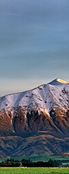 Panoramics
