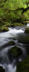 Rivers